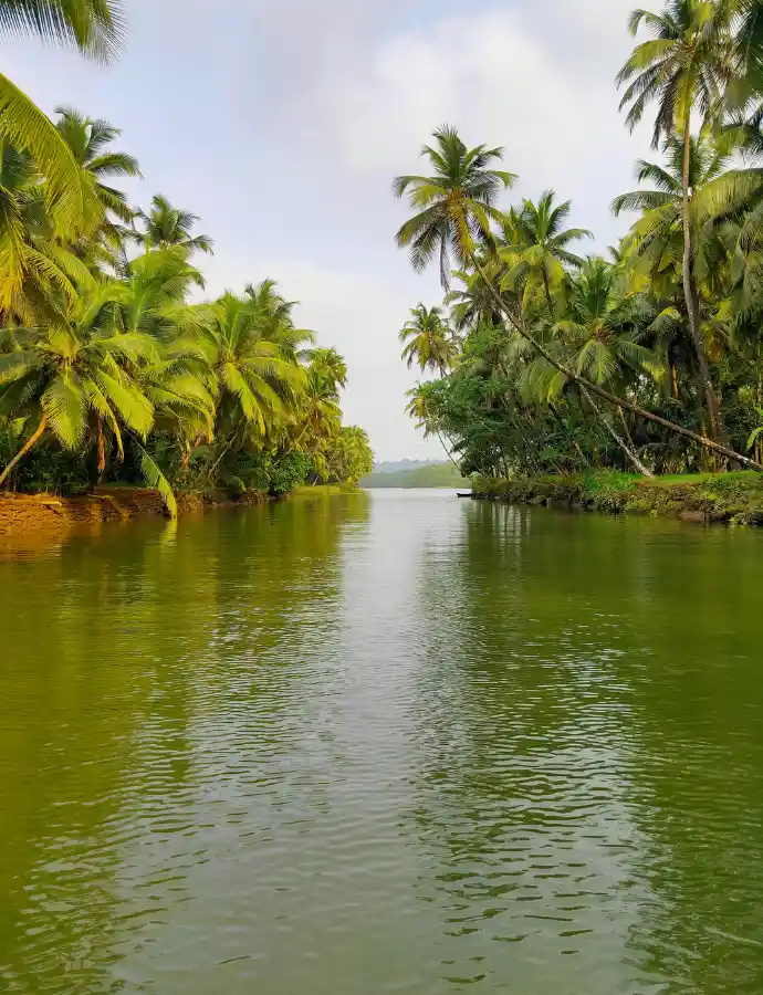 Kerala Backwater